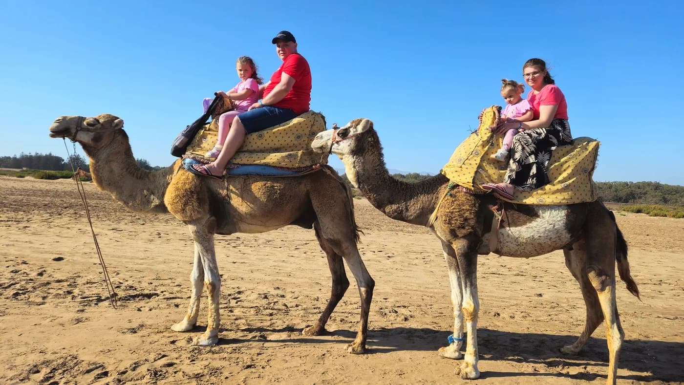 Camels Ride