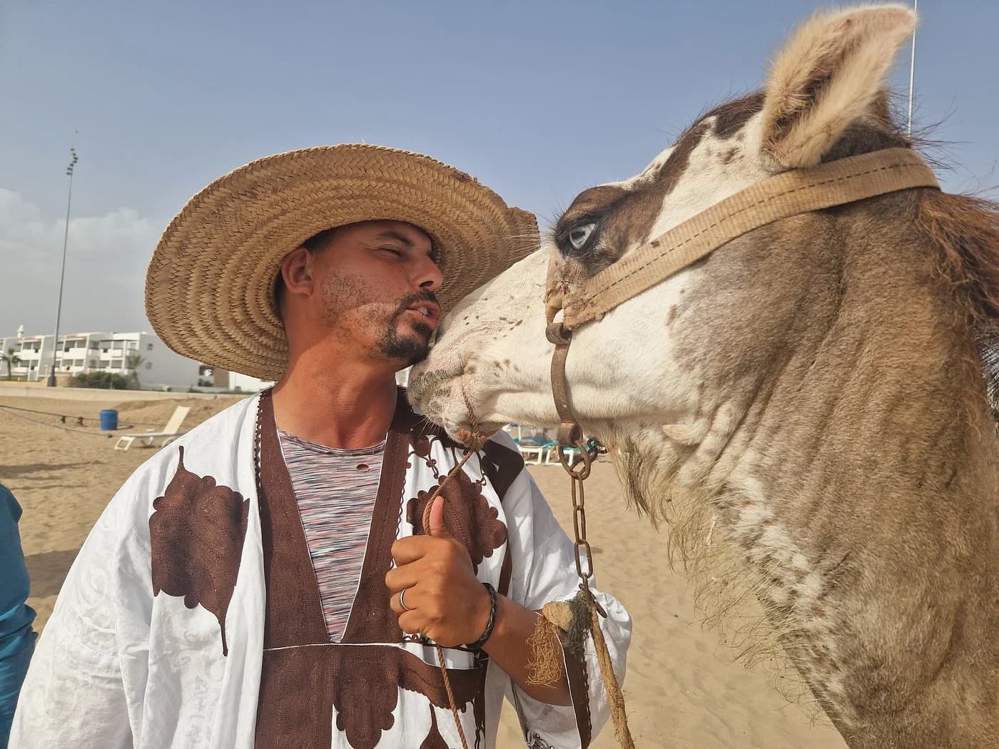 Jawad, Our Guide