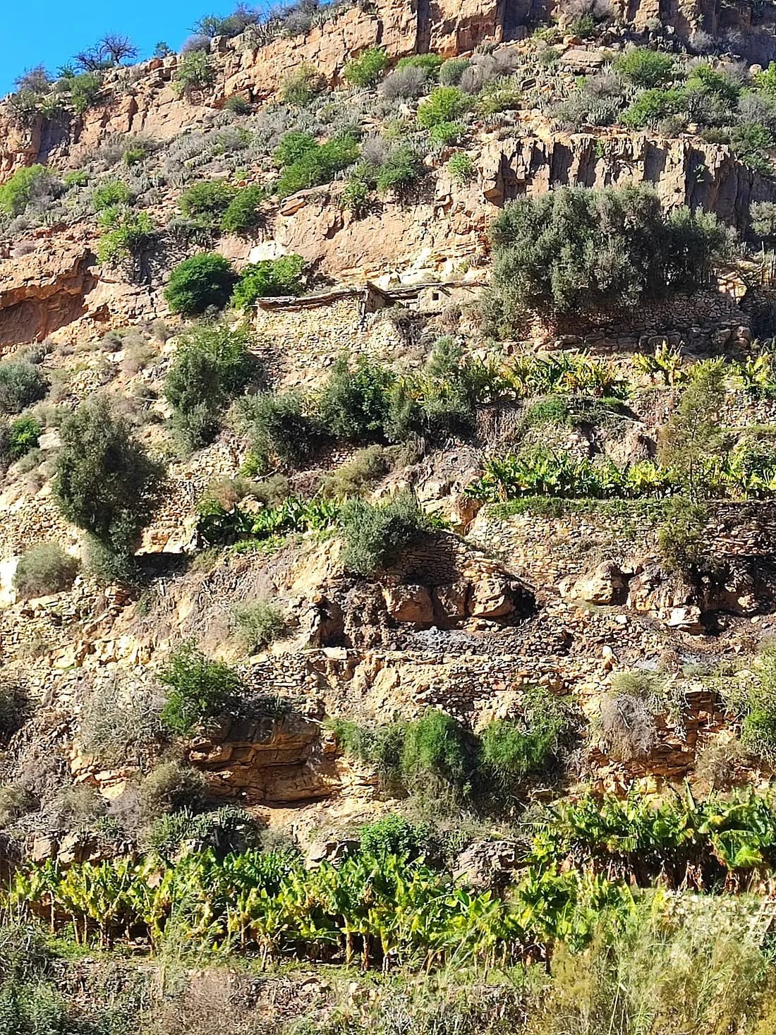 Moroccan Nature