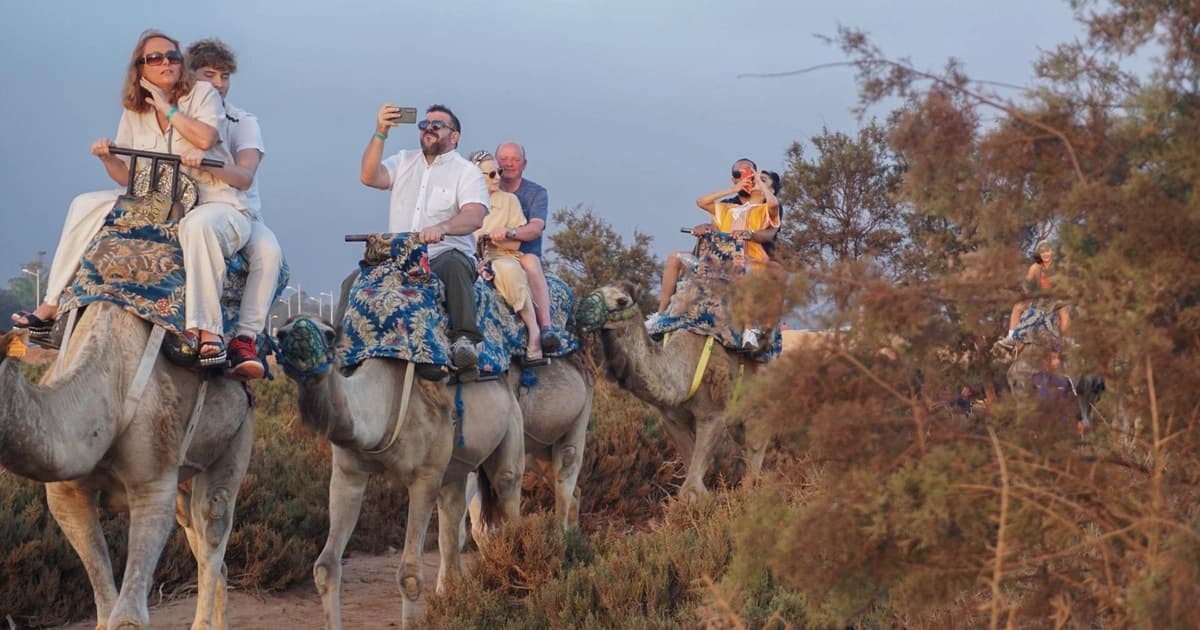 Travellers riding camels on a desert trek