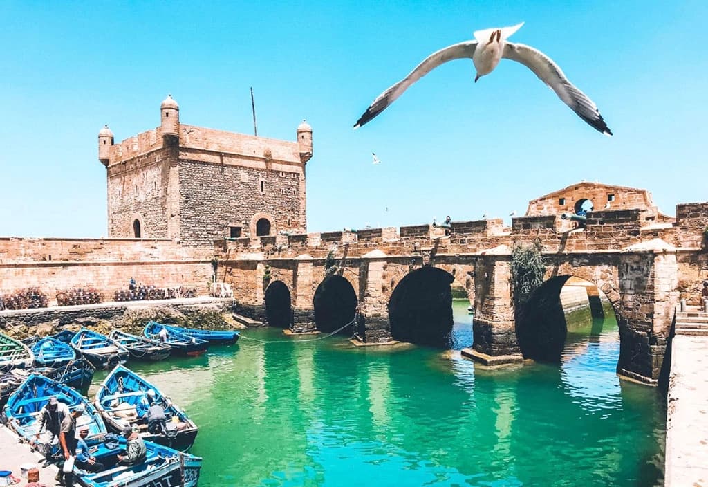 Coastal town of Essaouira excursion