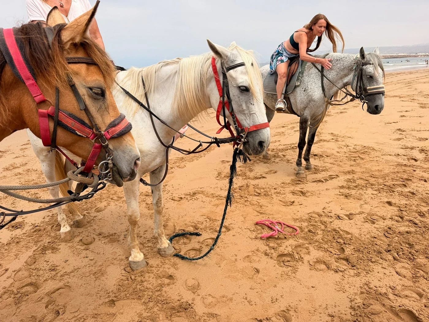 Horse Riding Trip