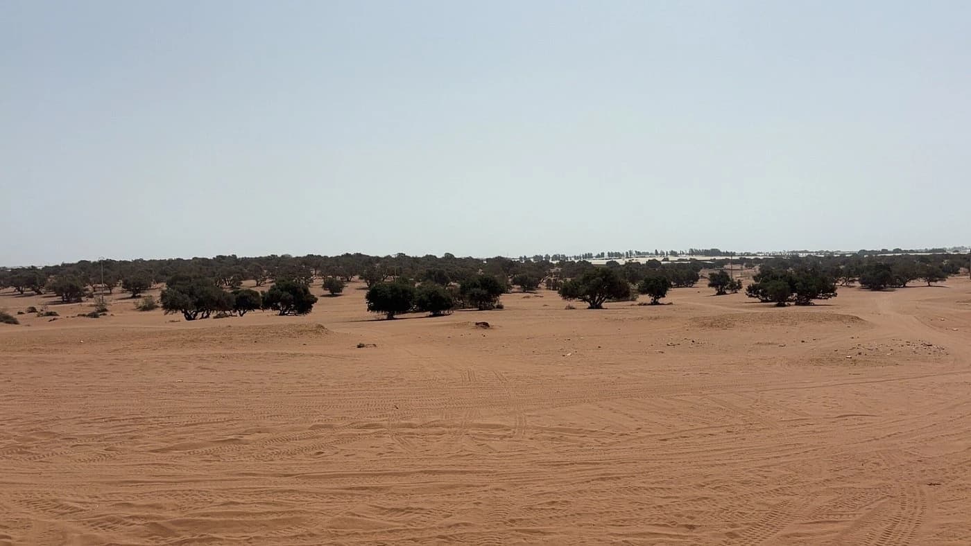 Mini Sahara Dunes