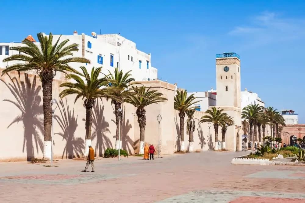 Palm trees and historic walls of Taroudant
