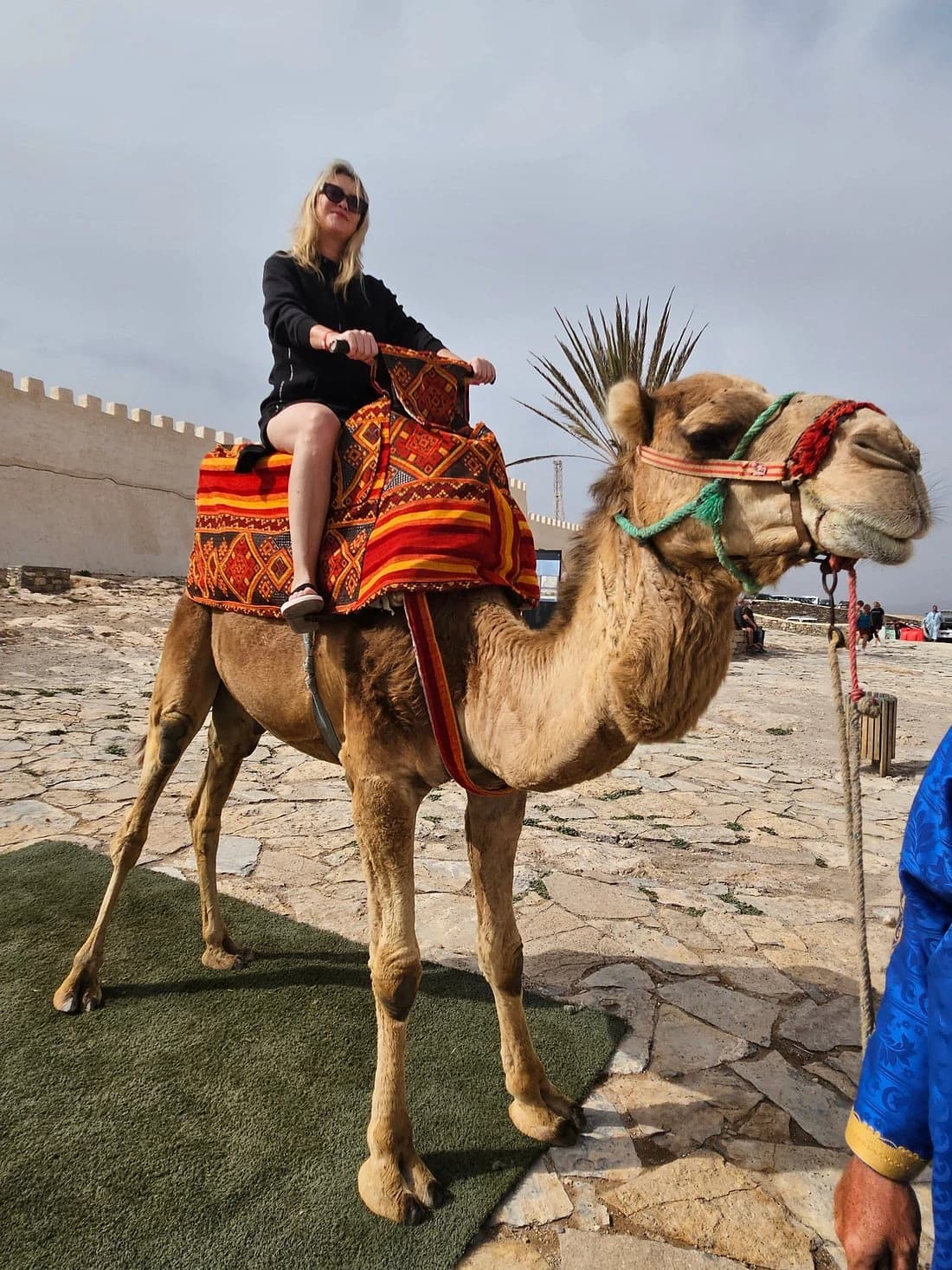 A rider on a camel with a colourful saddle in a stone courtyard