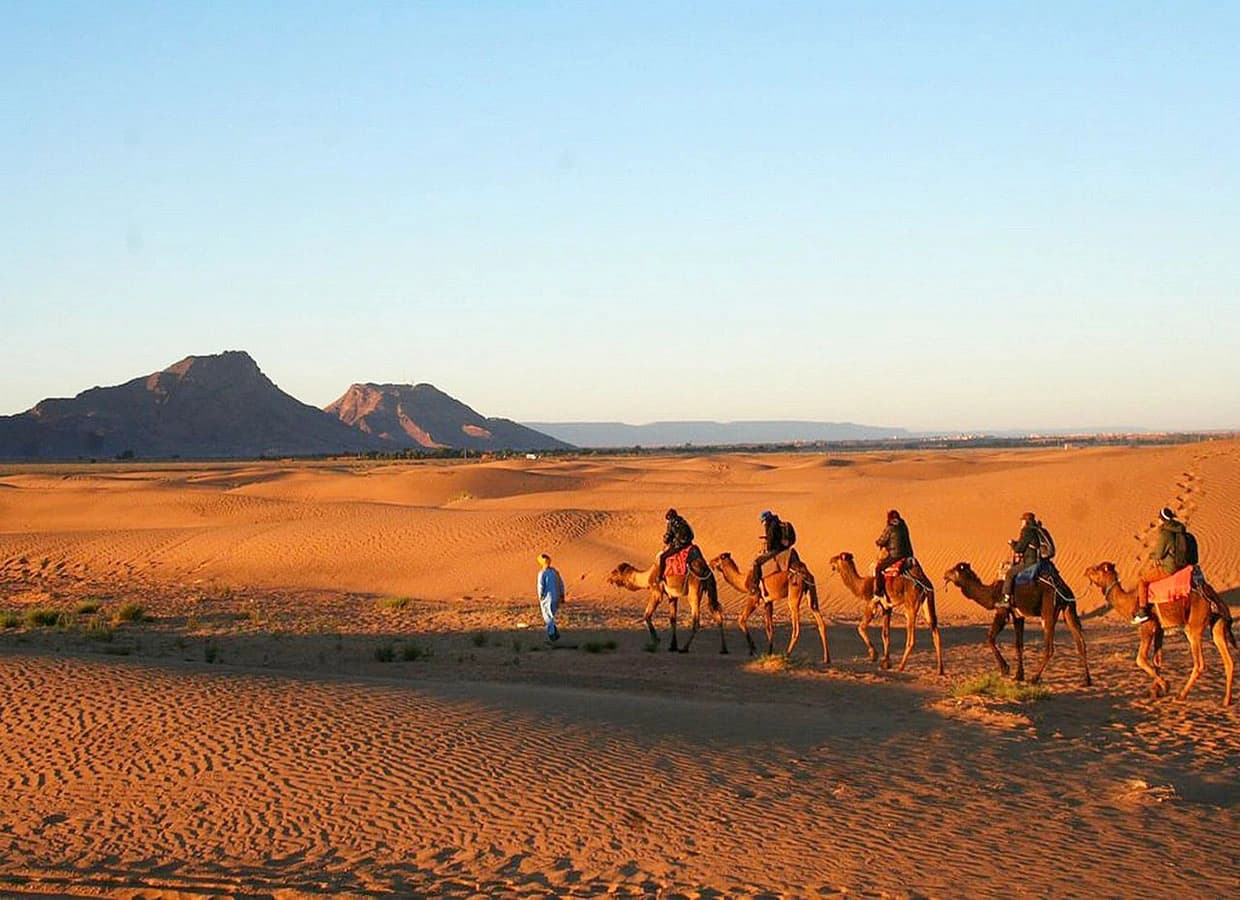 Camel caravan crossing sand dunes with mountains in the background