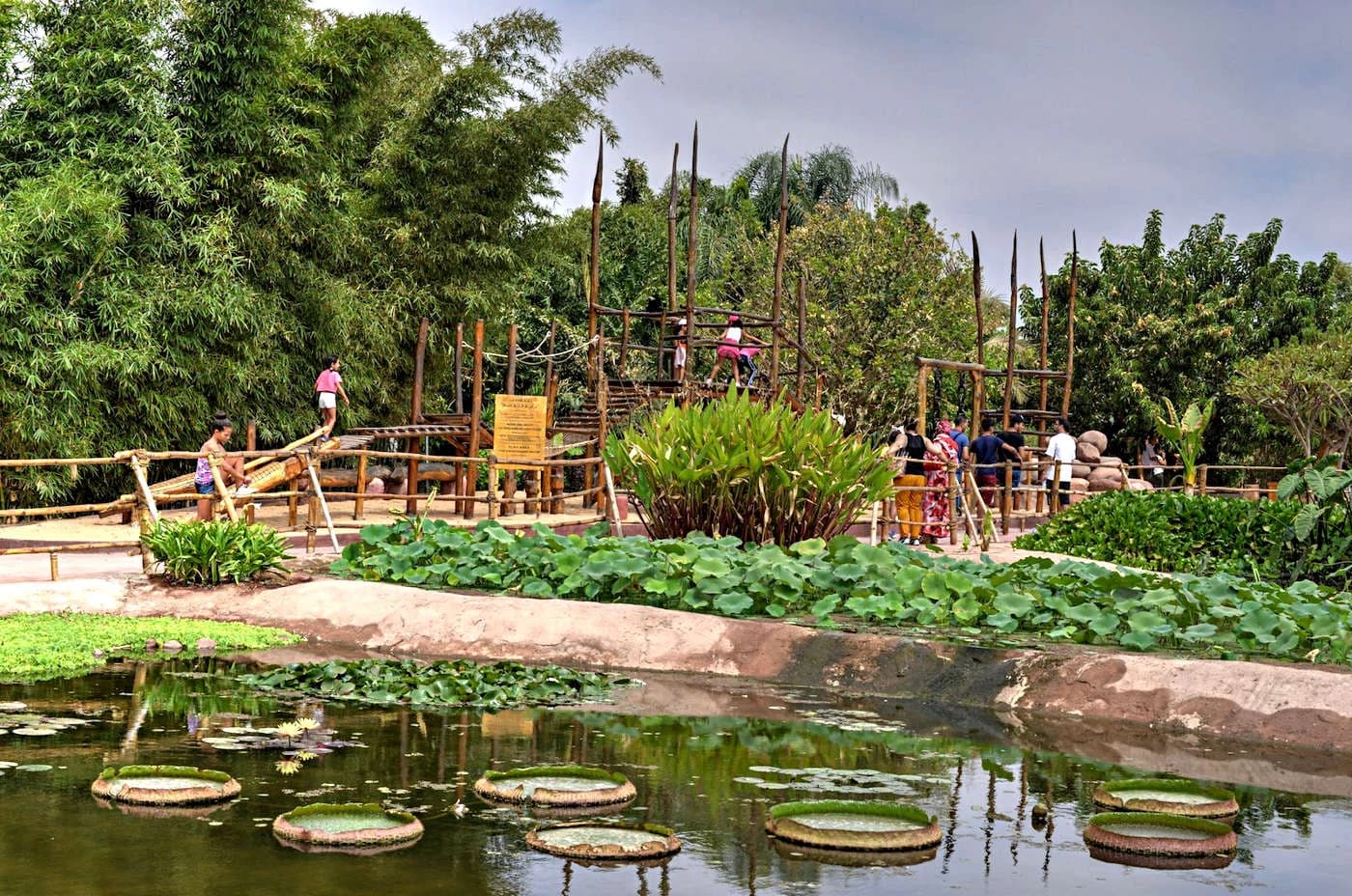 Water-lily pond, bamboo and a wooden adventure course in the park gardens