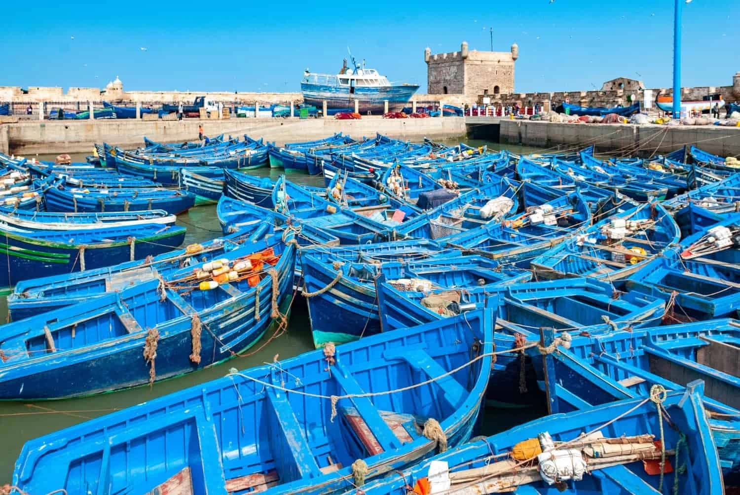 Blue fishing boats moored in the port of Essaouira