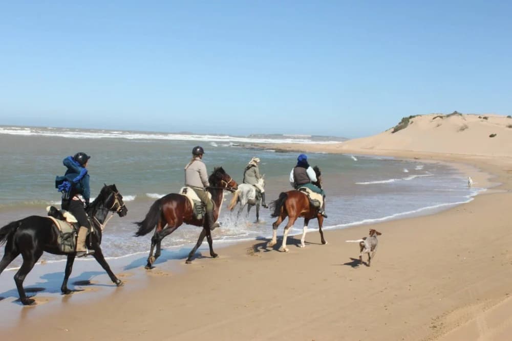 Two riders on horseback watching the sunset from the beach