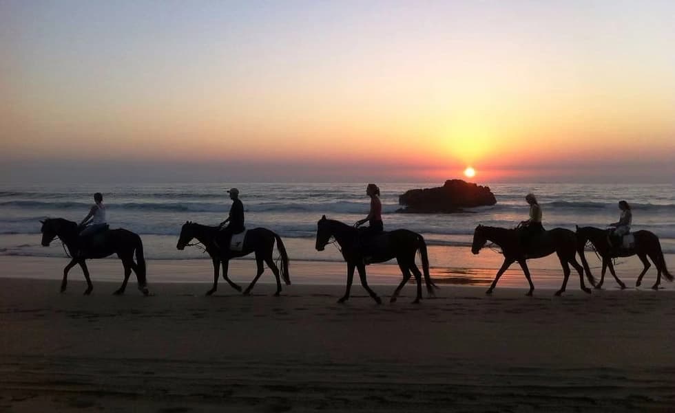 Riders silhouetted against the sunset on the beach