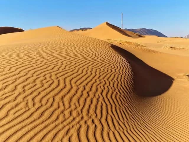 Wind-rippled golden sand dunes under a clear blue sky