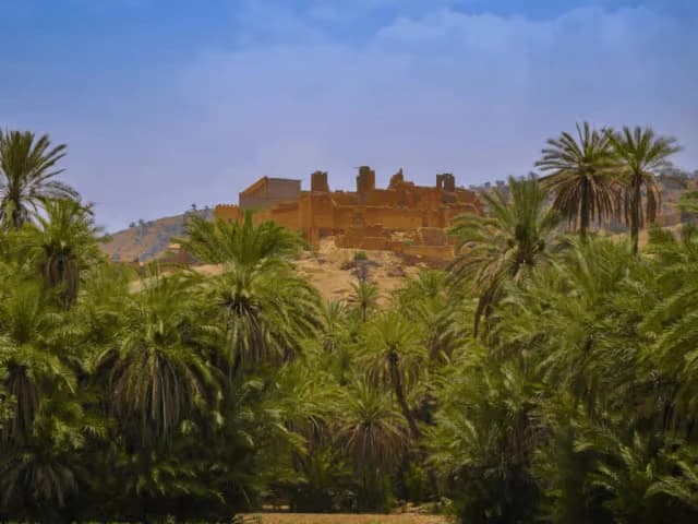 Earthen kasbah standing above the palm grove at Tiout